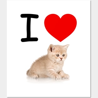 I HEART CUTE FLUFFY TABBY KITTEN Posters and Art